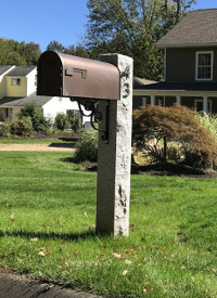Mailbox Post